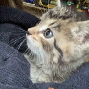 Meet your Posher, Seth